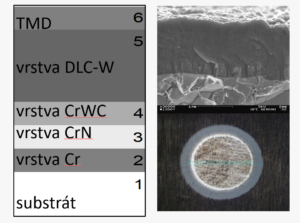DLC-TMD structure
