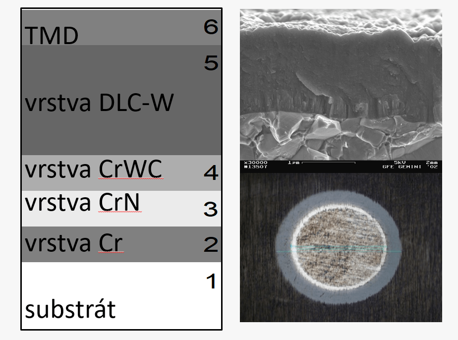 DLC-TMD structure